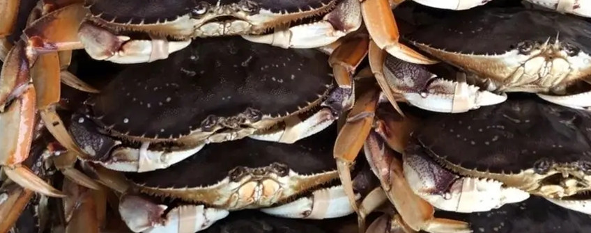 水产进口：海鲜进口从香港中转内地若何清关？