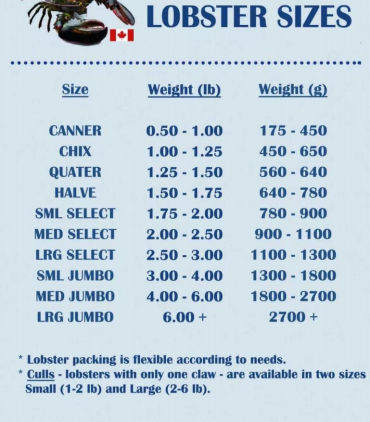 银娱优越会(中国游)股份有限公司