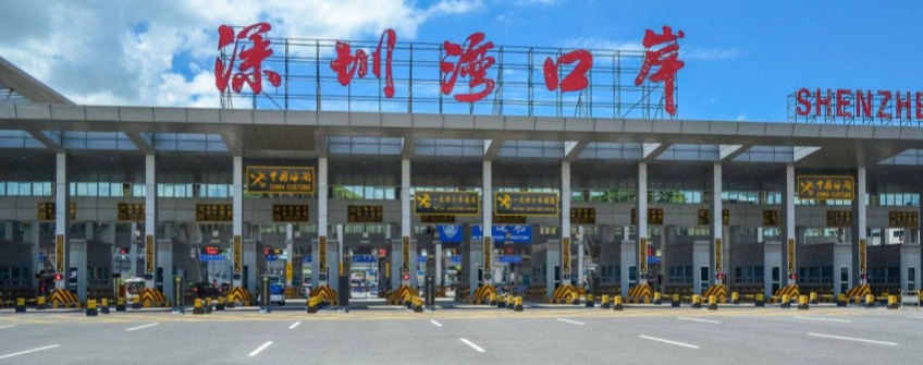 惊蛰春耕忙 种子通关畅：银娱优越会有限公司进出口护航春耕物资“附前提提离”