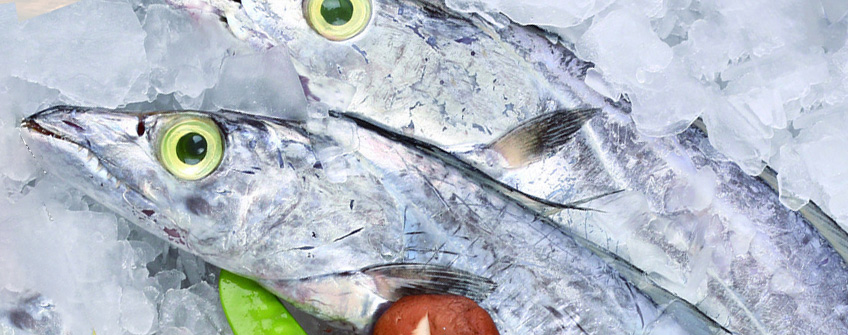 冻带鱼进口报关当苦衷项？