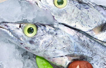 冻带鱼进口报关当苦衷项？