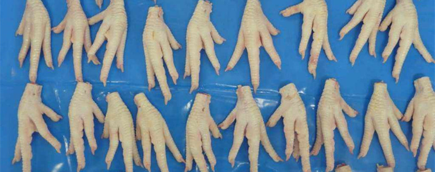 巴西冻鸡爪进口昭通清关代理