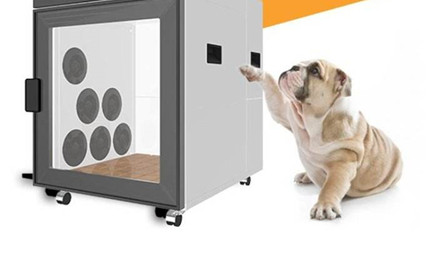 丽江清关：宠物护理仪进口清关流程及难点