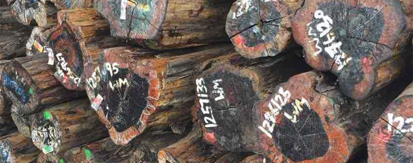 昭通清关：南美铁豆木原木进口清关操作流程