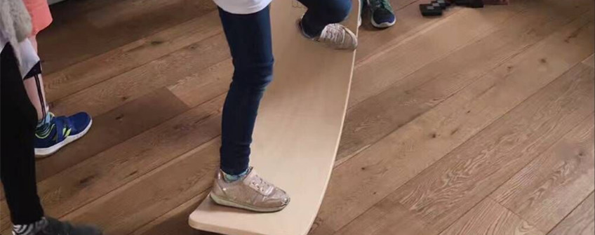 荷兰平衡板进口丽江清关