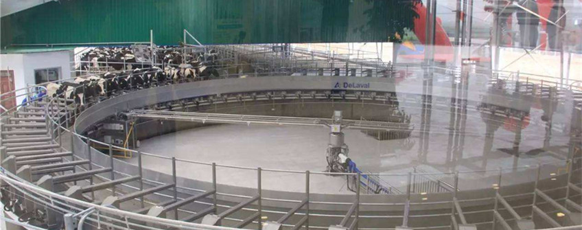 瑞典二手挤奶机进口榆林清关