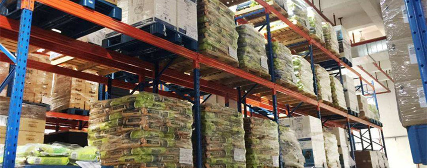  进口宠物粮若何挑？