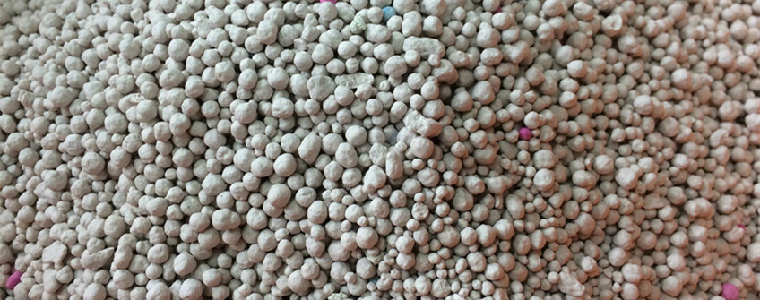 猫砂从国表若何进口到国内？