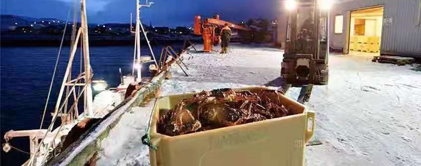 国表活海鲜进口昭通能够清关吗？