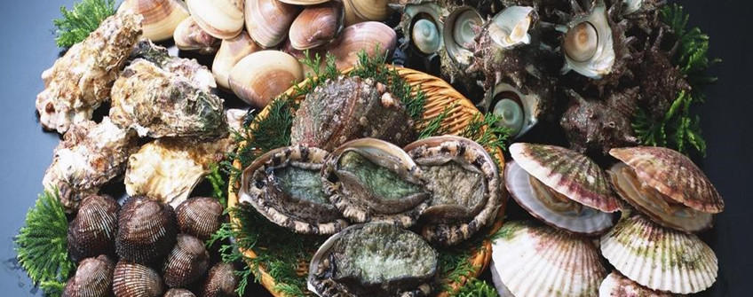 海鲜怎么进口报关？有哪些当苦衷项？